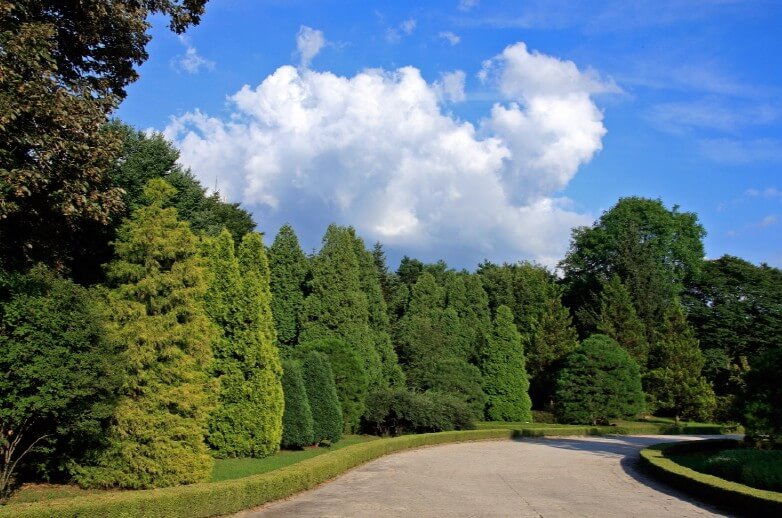 포천 광릉수목원! 숨겨진 힐링 명소&amp;#44; 포천 광릉수목원 완전 정복