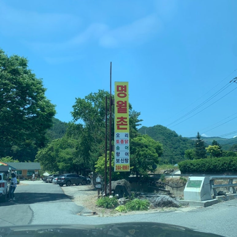 춘천 계곡에 백숙 맛집, 명월촌