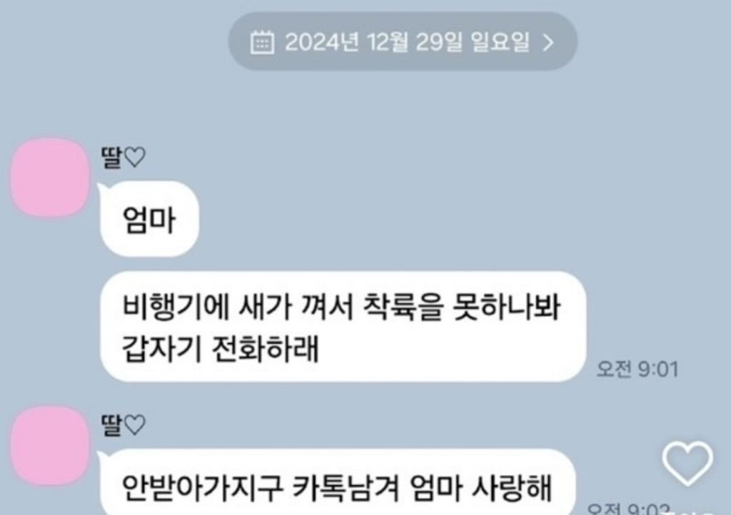 제주공항 여객기 사고 사망자 명단 22명. 탑승객의 마지막 문자 카톡