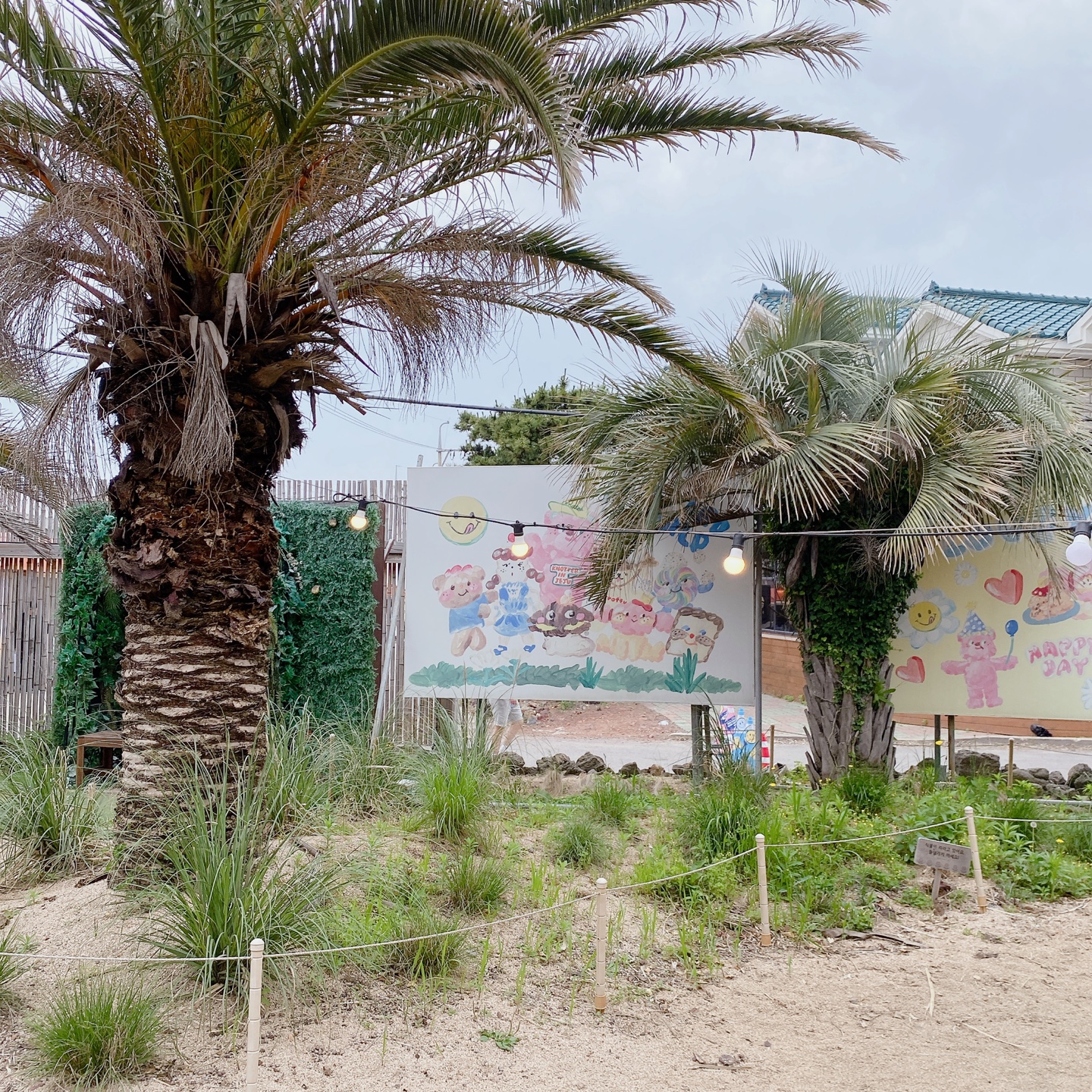 노티드 도넛 제주 애월 핫플레이스 우유크림 도넛 Knotted JEJU