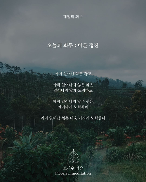 환희지의 보리수 명상 : Day 13 화두 : 바른 정진