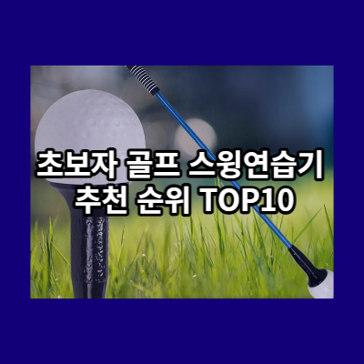 초보 골프스윙연습기 추천
