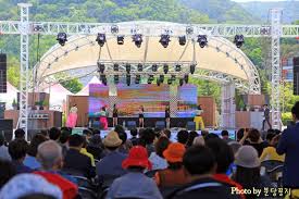 강원 N 홍천 산나물 축제 특징