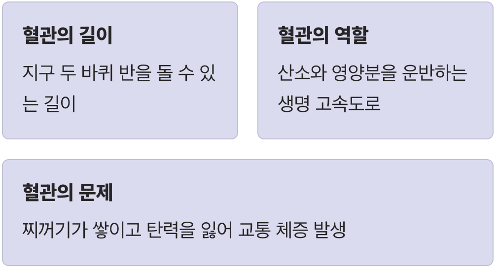 우리 몸의 생명 고속도로, 혈관