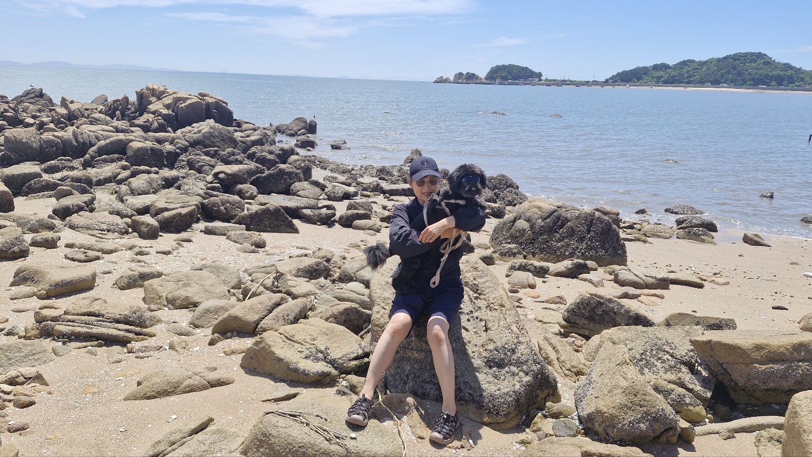 강아지 장 건강과 오리근위 (소화촉진&amp;#44; 유산균 도움)