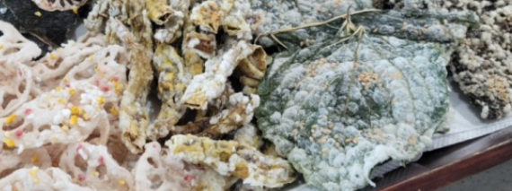 연근 부각, 깻잎 부각, 김 부각, 고추 부각이 함께 담겨있는 사진