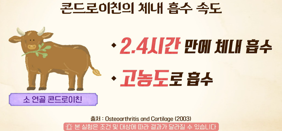 콘드로이친 복용법