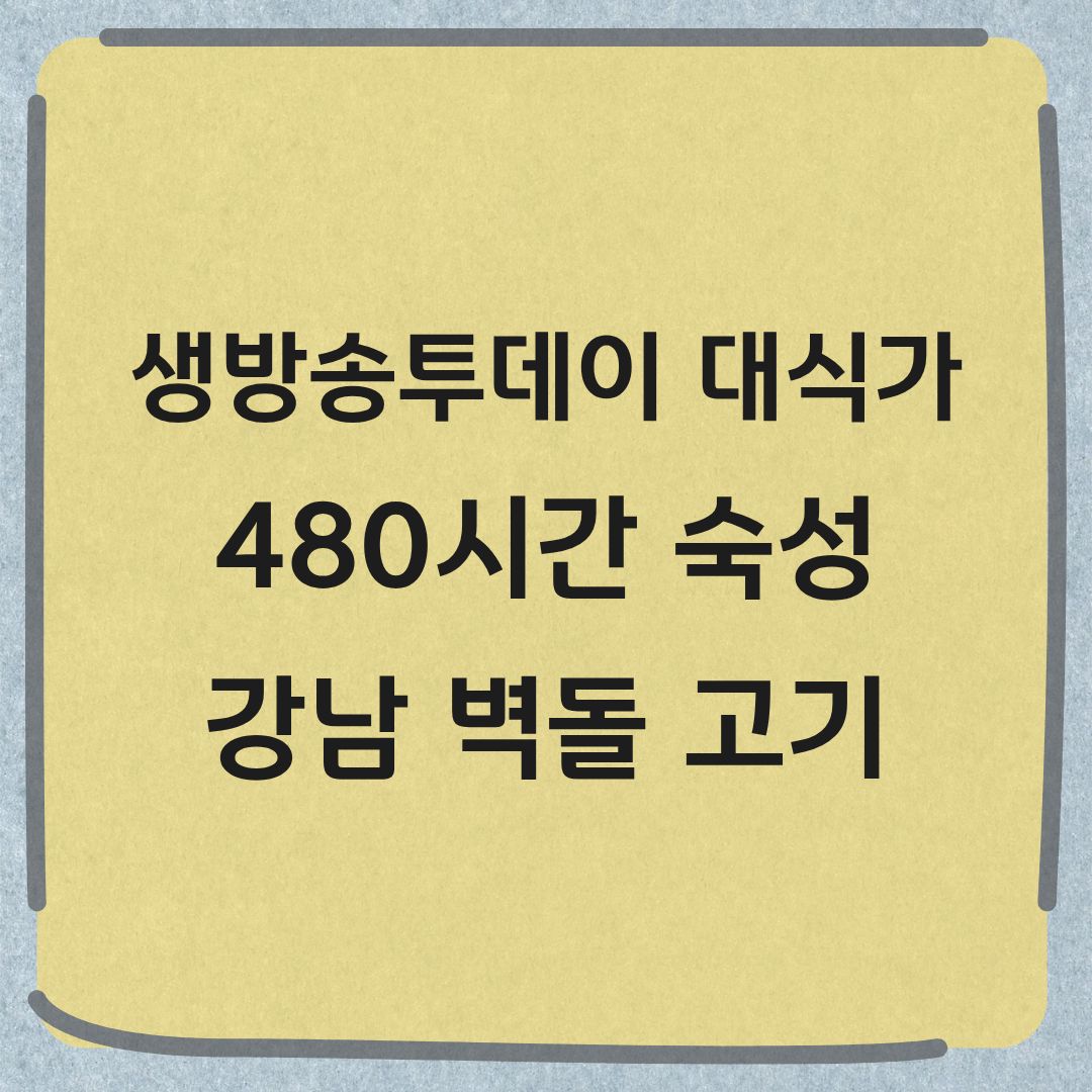 생방송투데이 대식가 강남 480시간 숫성 벽돌 고기 선릉역 맛집 정보