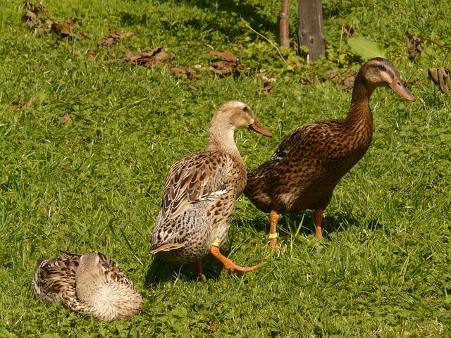 서울시 운동비 지원