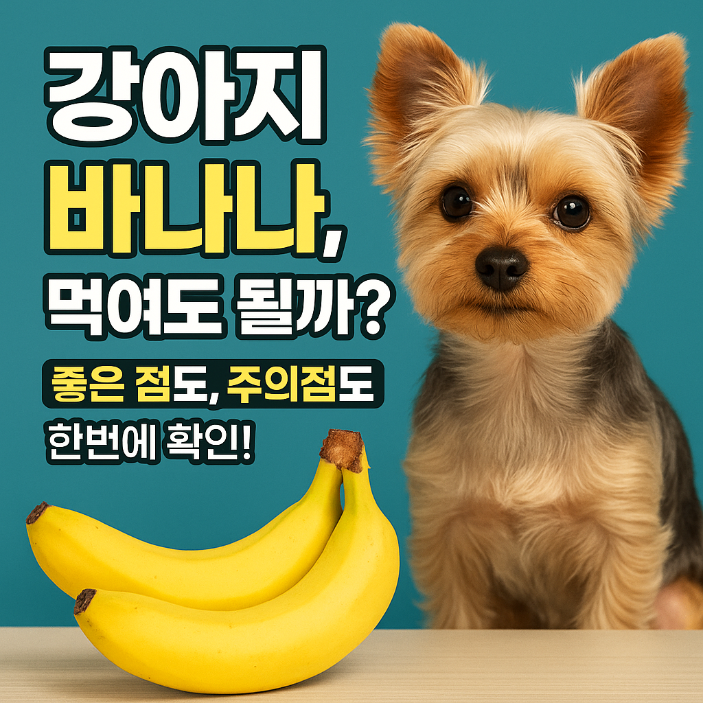 강아지 바나나, 먹여도 될까? 건강 간식으로 급여하는 올바른 방법
