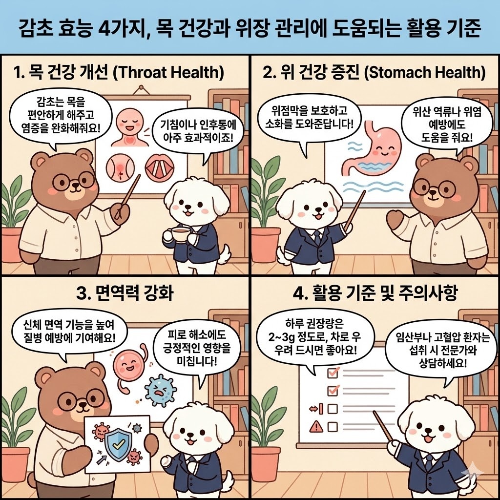 감초 효능 4가지, 목 건강과 위장 관리에 도움되는 활용 기준