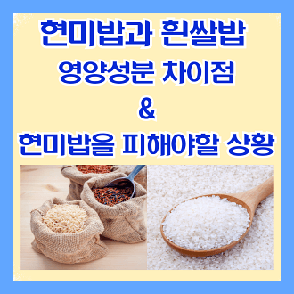 현밉바과 흰쌀밥의 영양성분 차이점과 현미밥을 피해야할 상황