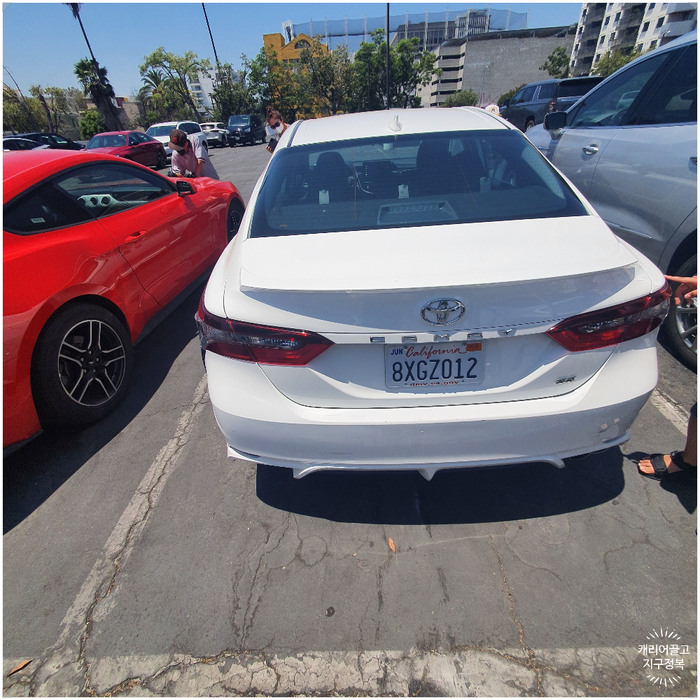 캠리에 들어가는 캐리어수