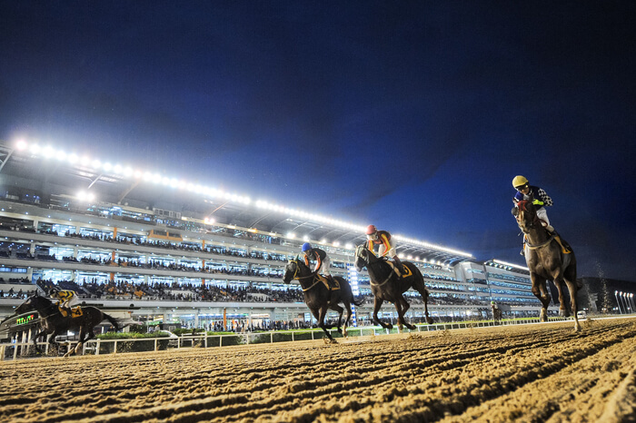렛츠런파크 서울 가을 축제 밤마실 페스티벌