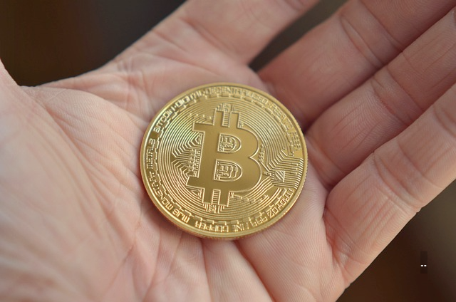 업비트 코인 스테이킹