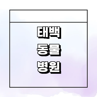 태백시 동물병원