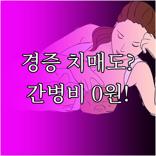 치매보험 경증 보장 확인법과 간병비 ..