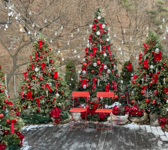 크리스마스/분위기/핫플/카페