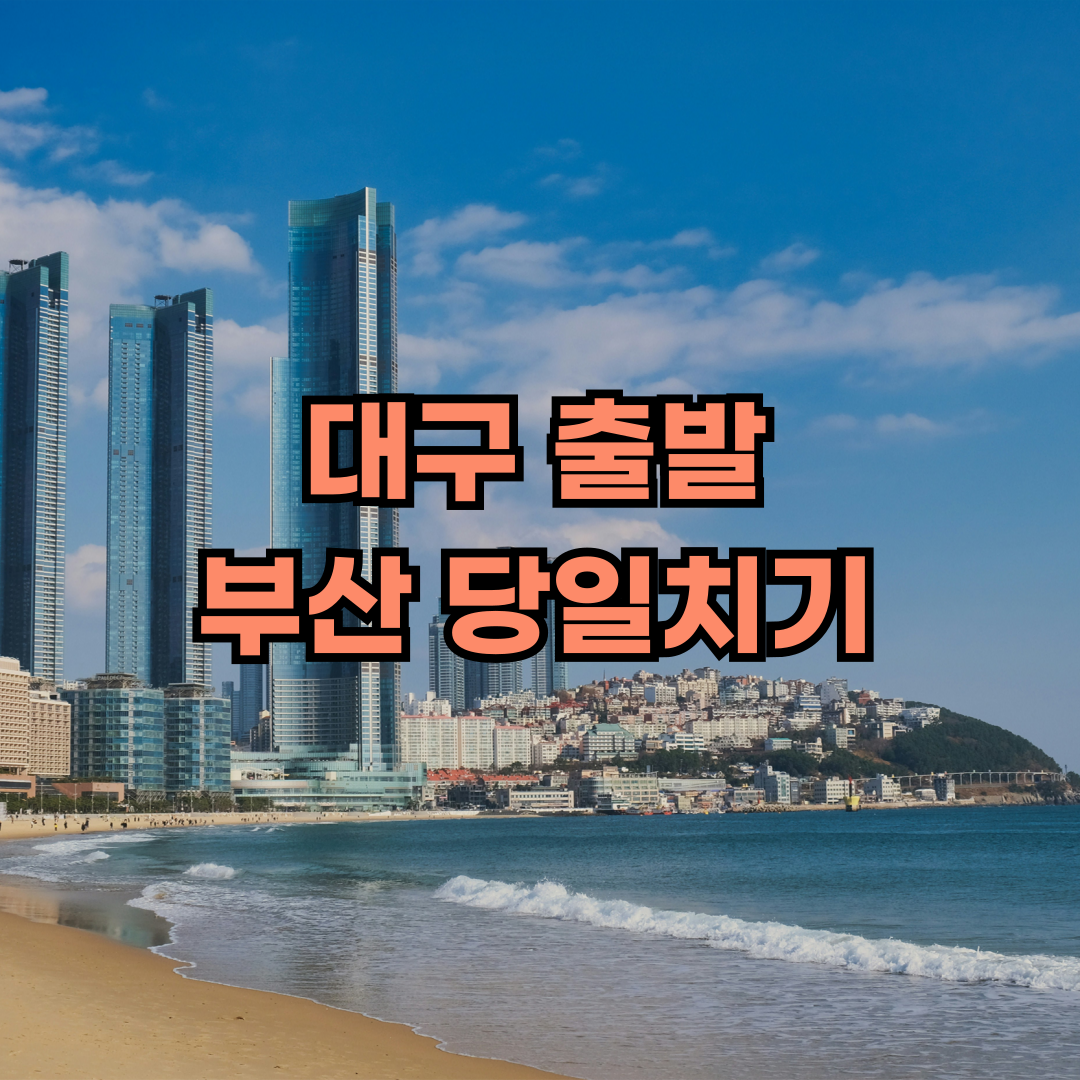대구 출발 부산 여행