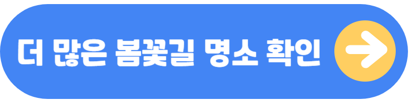 봄꽃길 명소