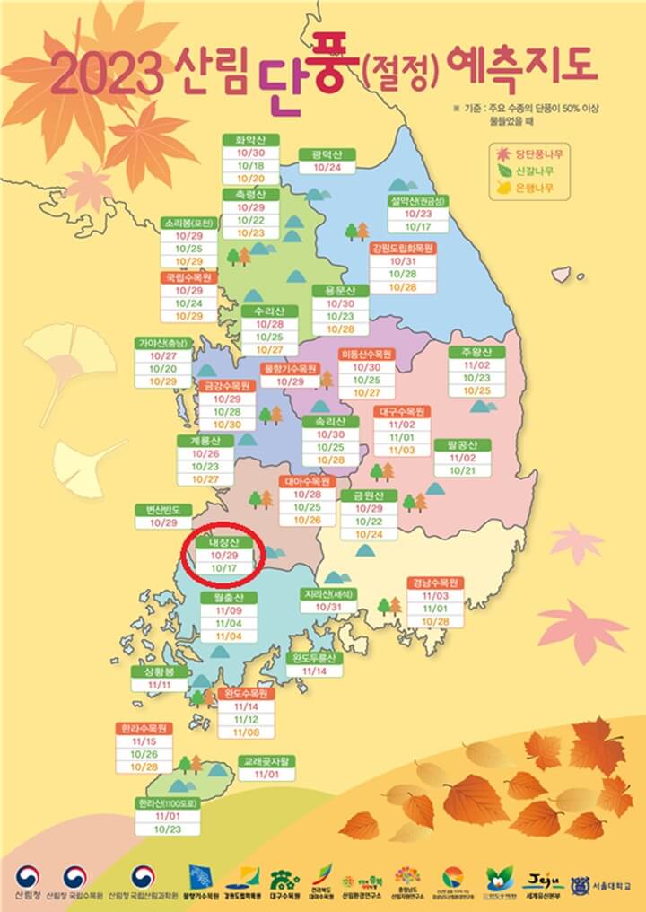 내장산단풍-시기