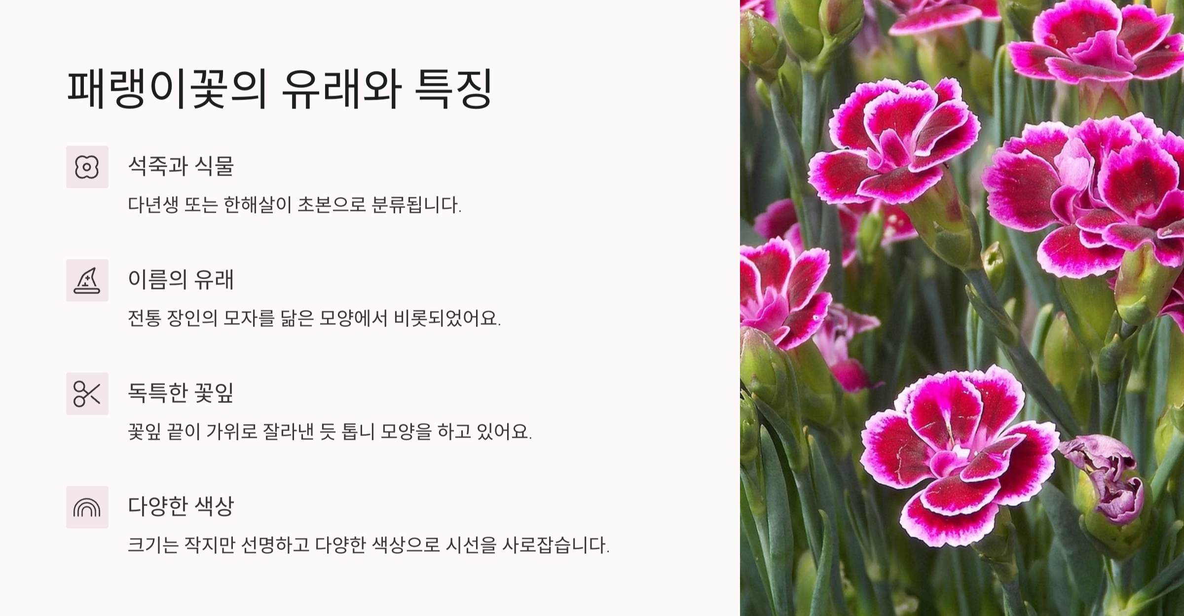 패링이꽃