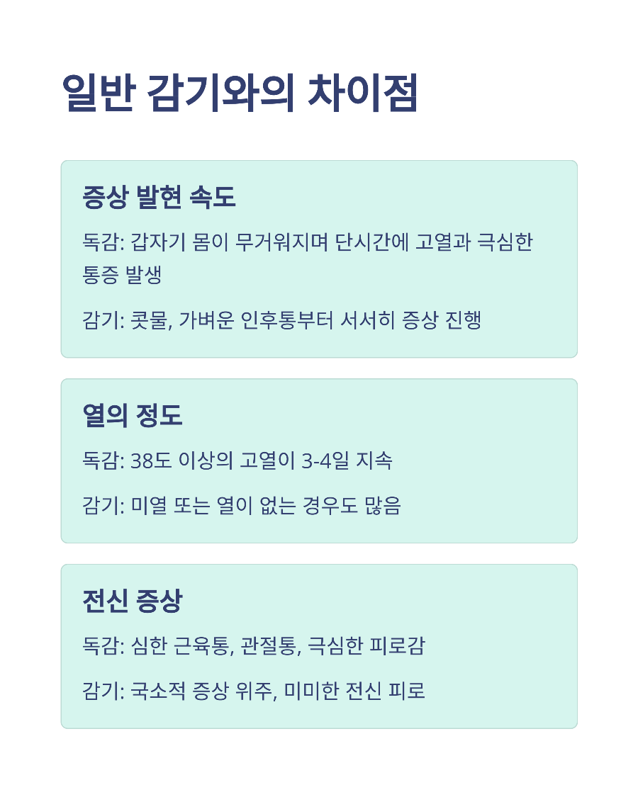 B형 독감 vs 일반 감기 38도 이상 고열이 하루 지속된다면 병원에 가야 하는 이유