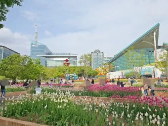 고양 꽃박람회 입장료 사전예약 가는길_7