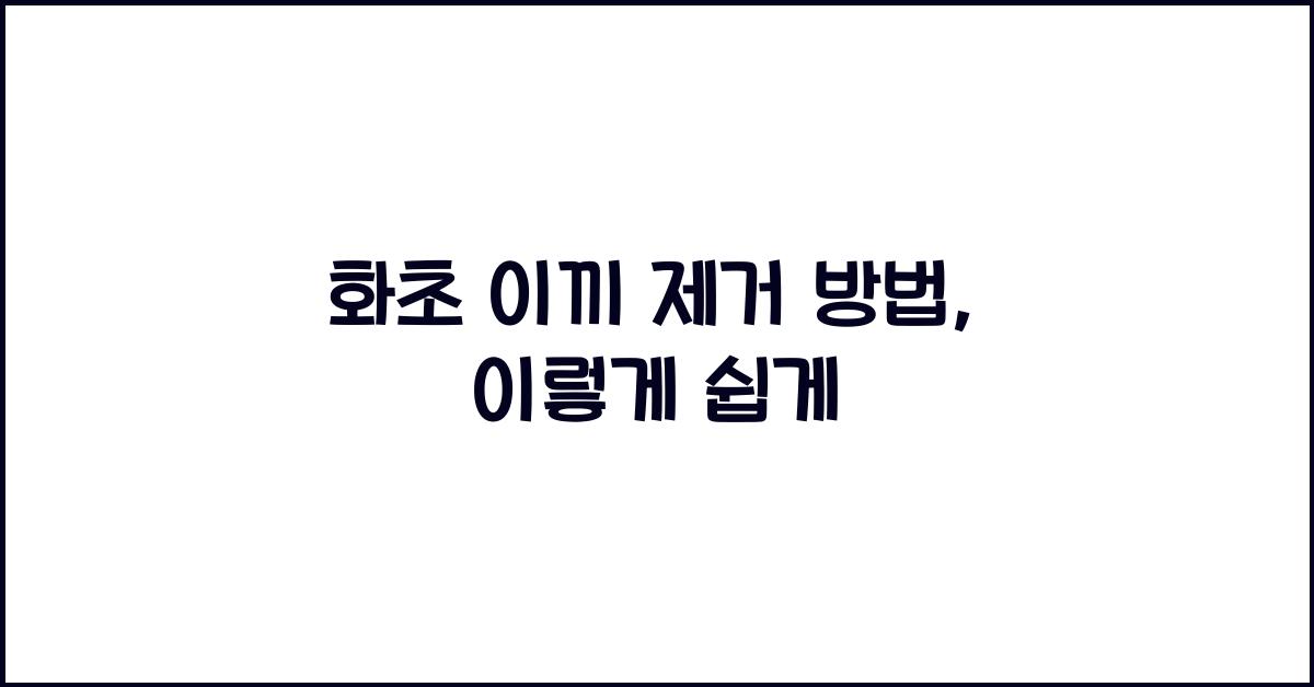 화초 이끼 제거 방법