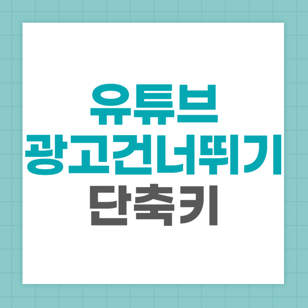 유튜브 광고 건너뛰기 단축키