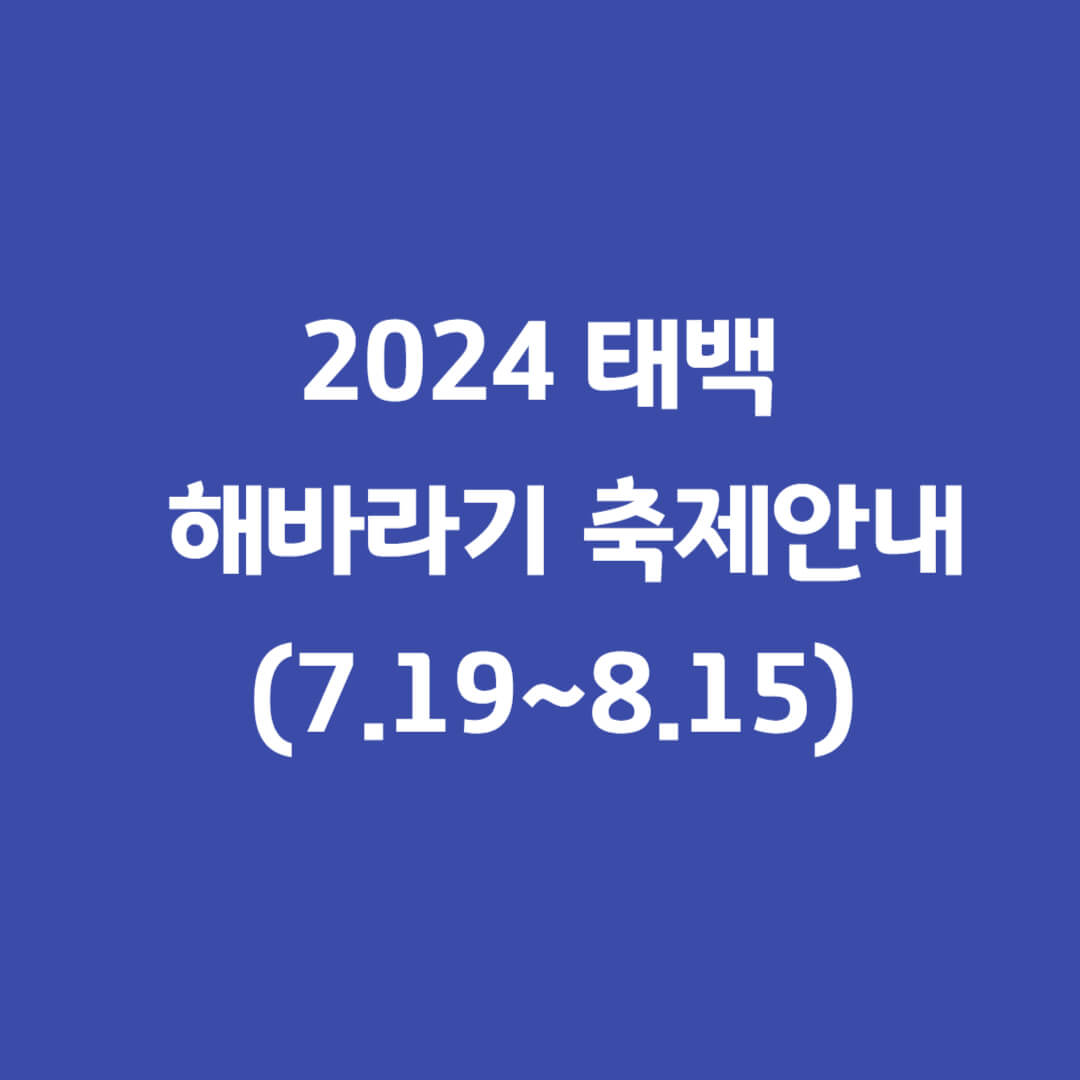 태백해바라기축제