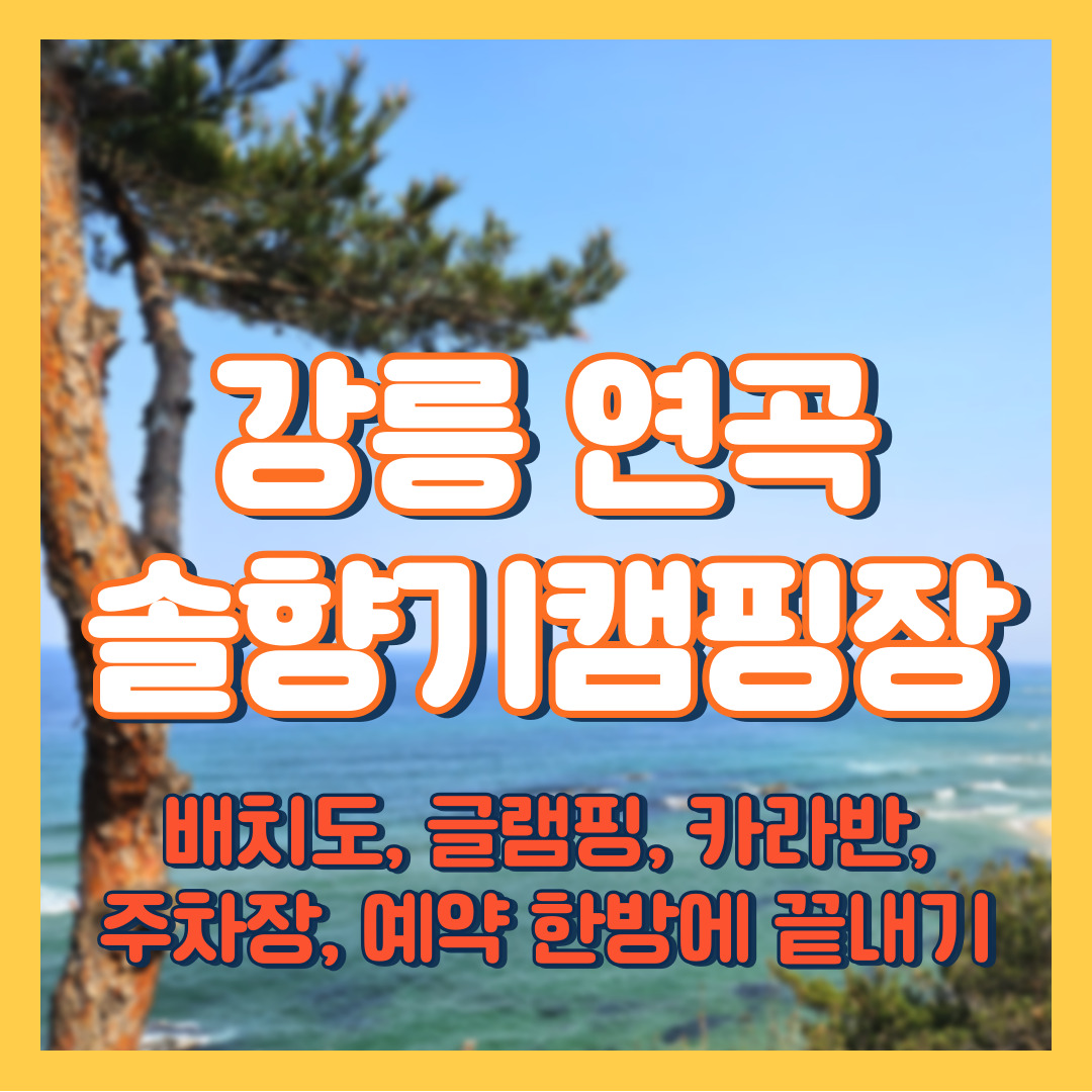 강원도 강릉 연곡 솔향기 캠핑장 정보