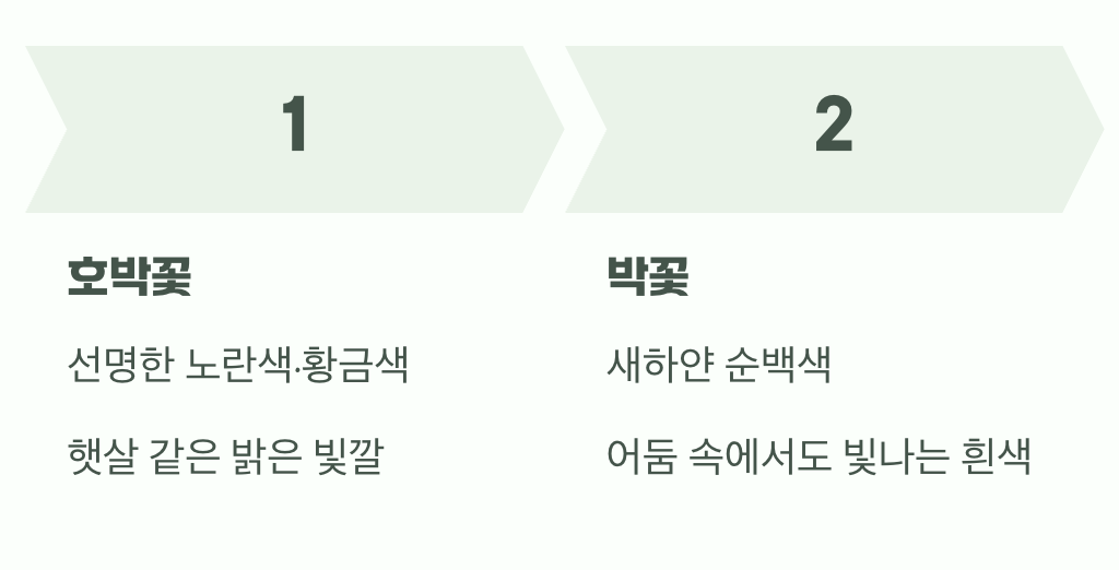 결정적 차이, 색깔과 피는 시간