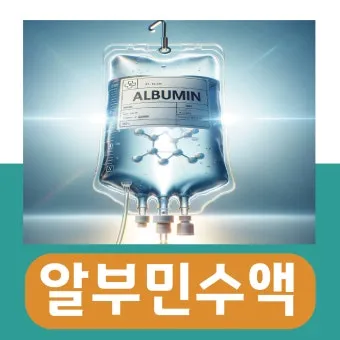 알부민 수액 알부민 링거 가격까지 한번에 정리로_14