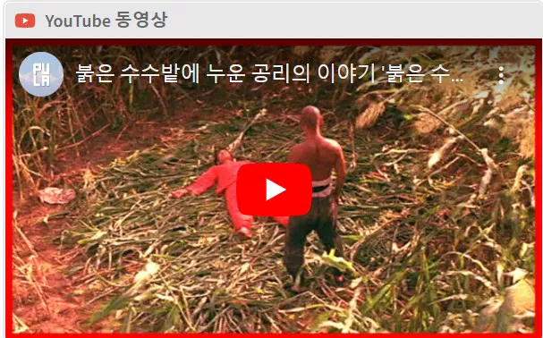 붉은 수수밭