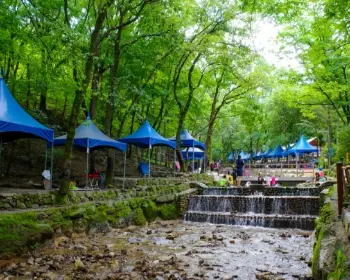 서울대공원 캠핑장_9