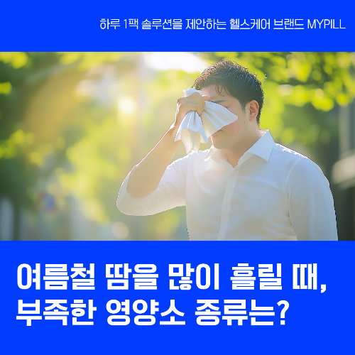 여름철 땀 많이 날때 영양제