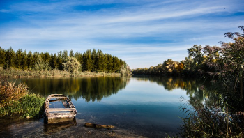 국민은행 정기예금 금리 지금 가입? 8