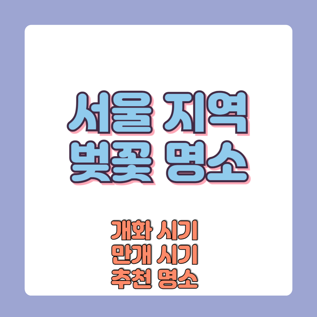 2025 서울 벚꽃 개화시기 만개시기 서울 명소