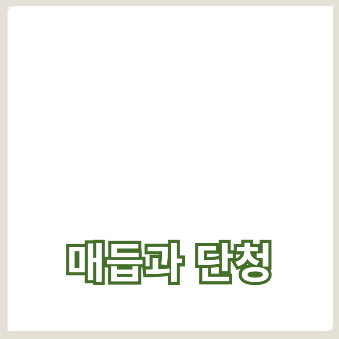 매듭과 단청, 한국 전통 장식의 아름다움