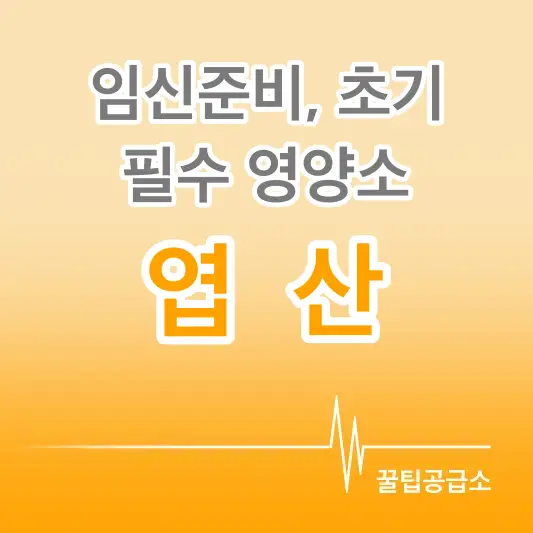 임신준비 임신초기 엽산 필수영양소