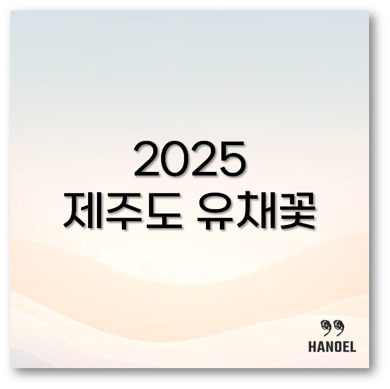 제주도 유채꽃