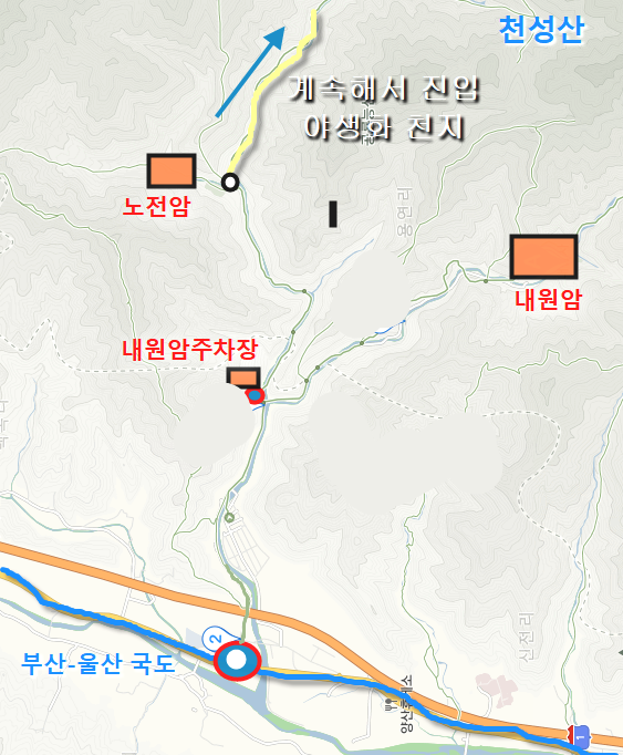 천성산 산하동 야생화