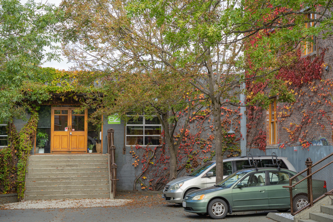 캐나다 빅토리아 아일랜드 거리