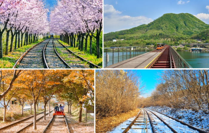 아침고요수목원 오색별빛정원전 가평 레일바이크 특징