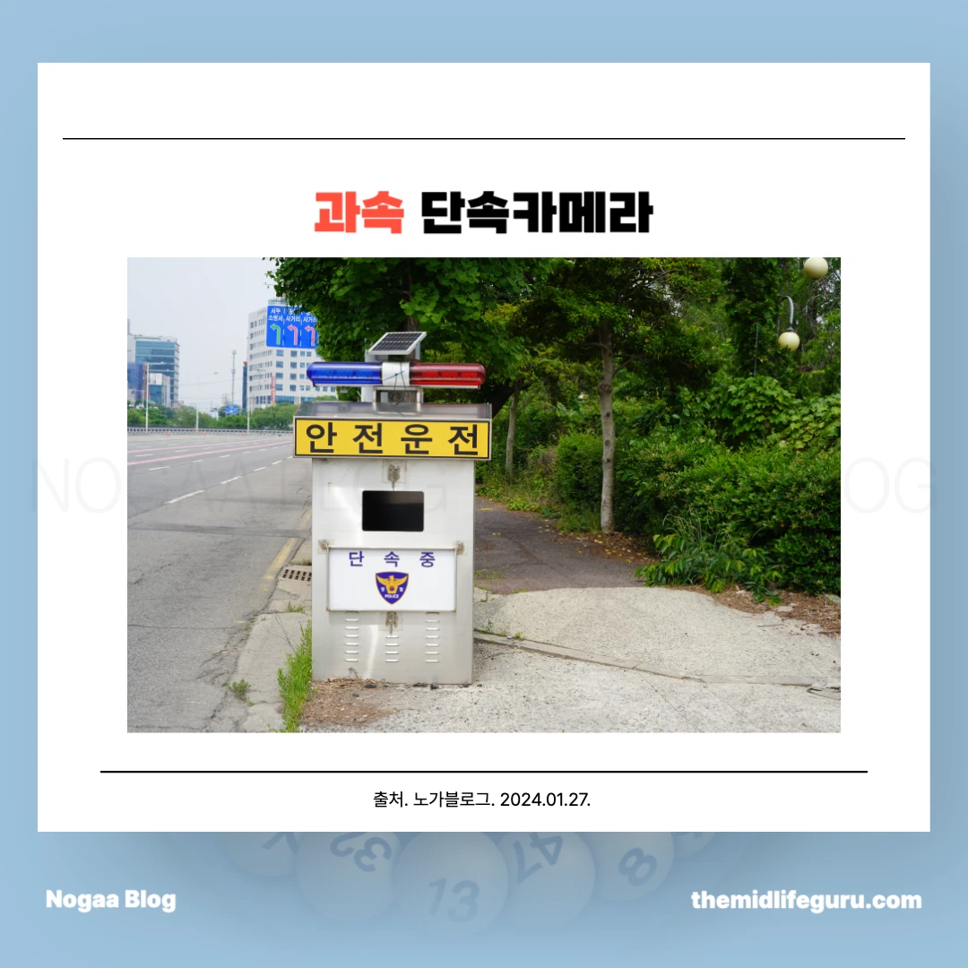 과속 단속카메라 종류