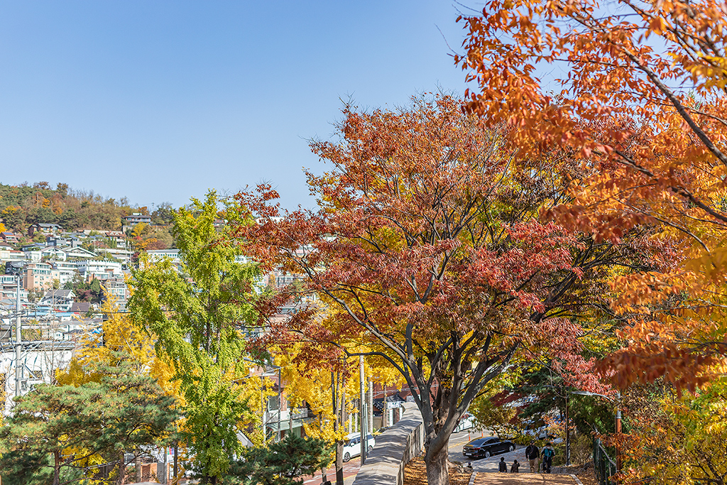 혜화문
성북동
한양도성길
백악구간
서울여행
서울단풍
가을단풍
단풍