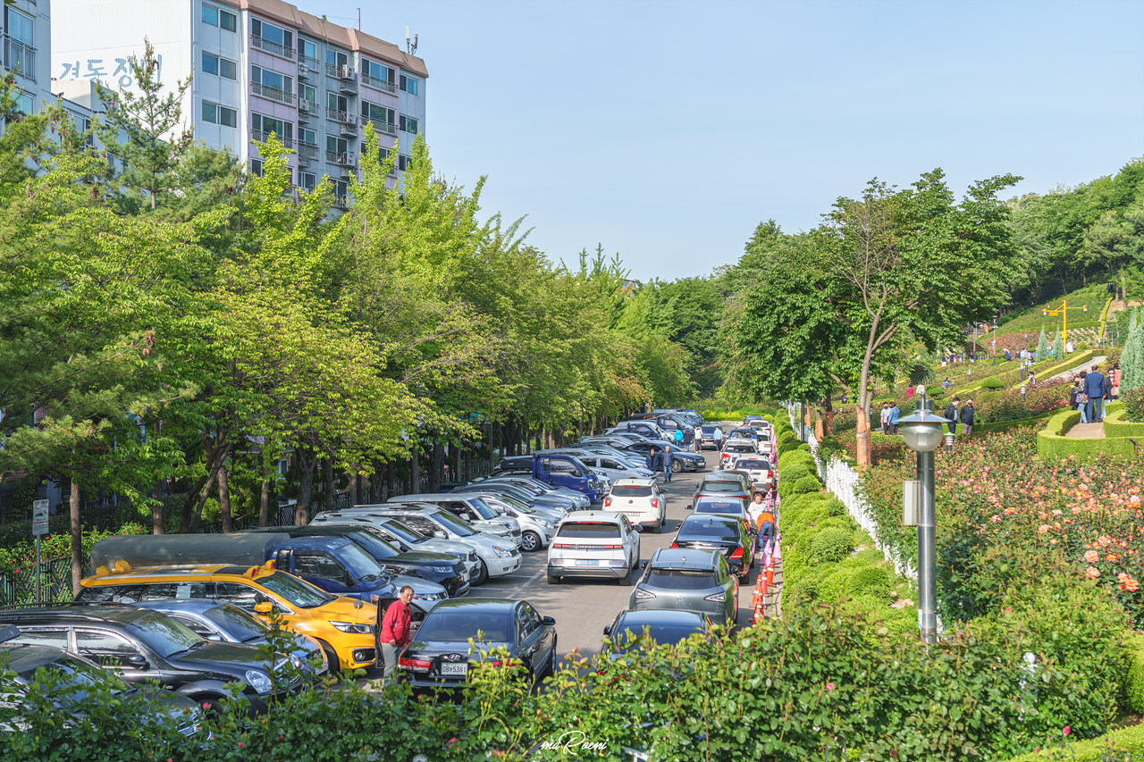 백만송이장미원