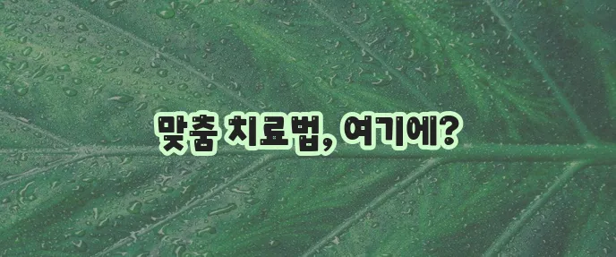고지혈증 치료법 확실하게 알아봅시다!