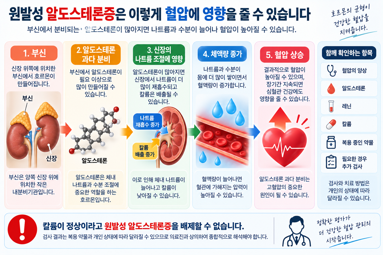 알도스테론 과다와 나트륨·체액·칼륨 변화의 관계를 설명한 그림